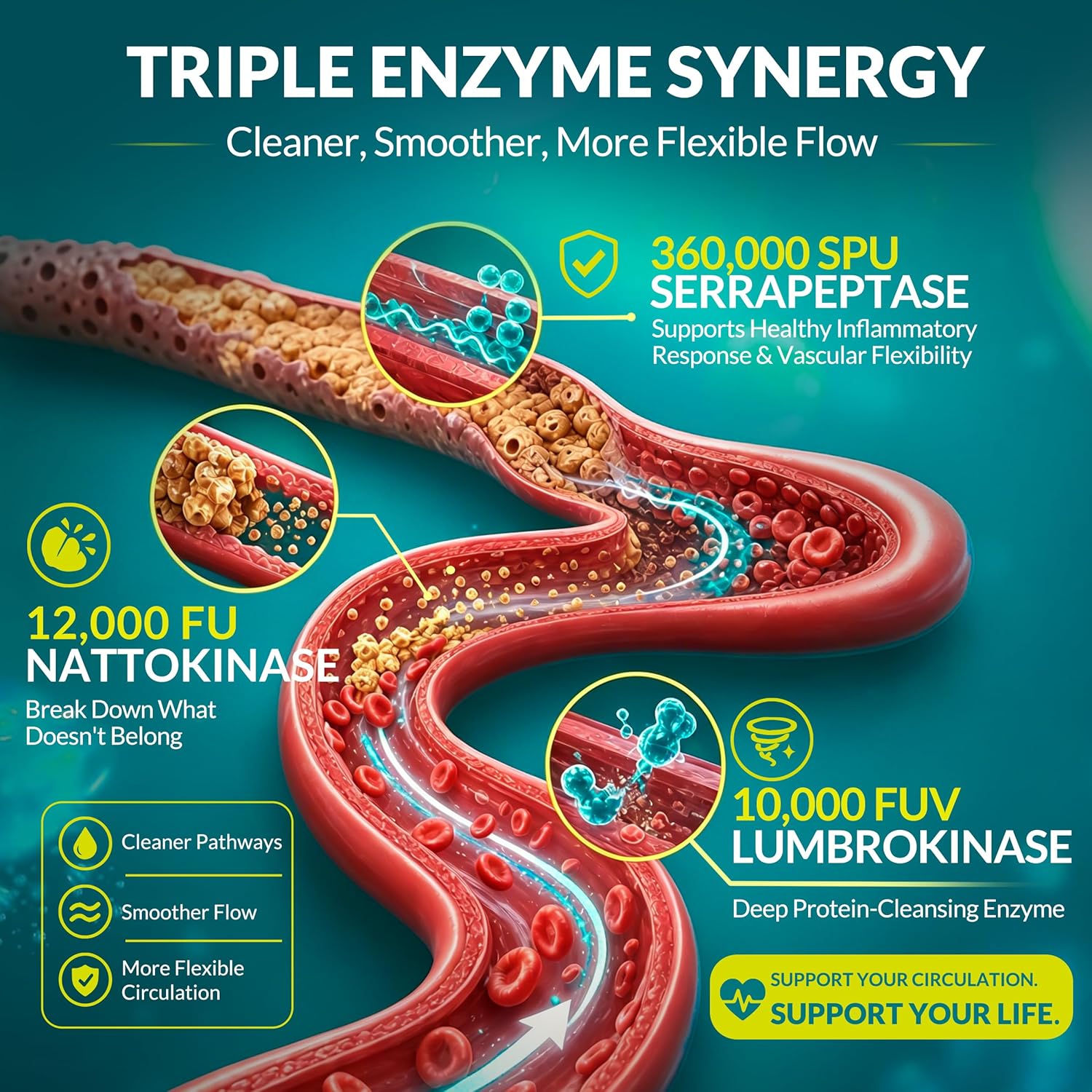 Nattokinase Supplement 12,000 FU (Max Strength) Serrapeptase 360,000 SPU, Lumbrokinase 10,000 FUV & CoQ10 -Systemic Enzymes Complex for Cardiovascular & Circulatory, Gut & Digestion Health-90 Capsules